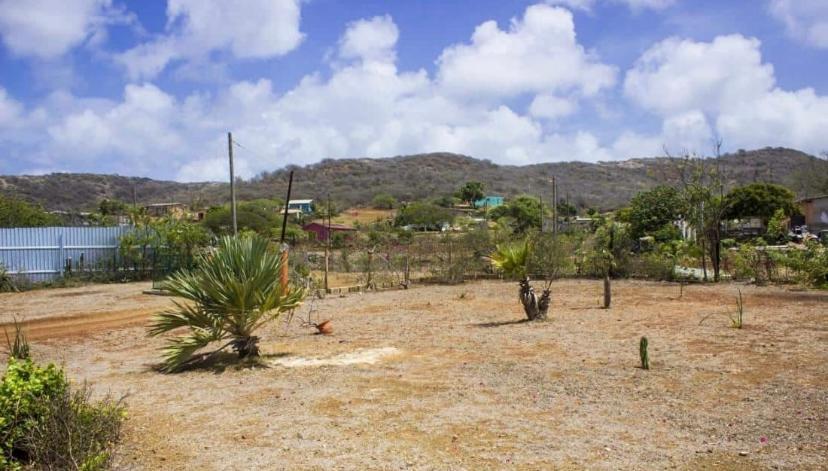 Kadushi Estate Villa Willemstad Ngoại thất bức ảnh